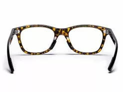 ROKA Zilker Readers 25 ROKA Zilker Readers